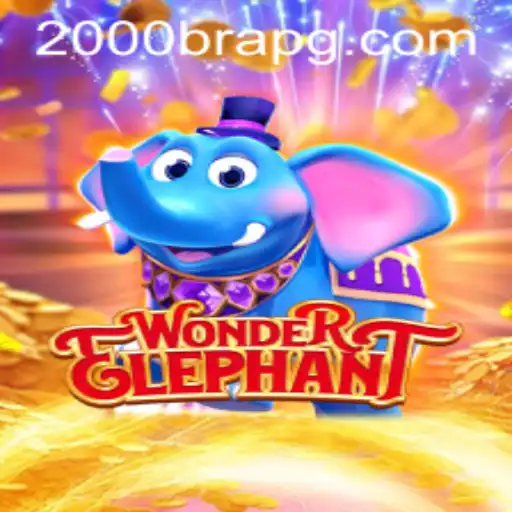 Discovering the Magic of WonderElephant and Unpacking '2000BRA'